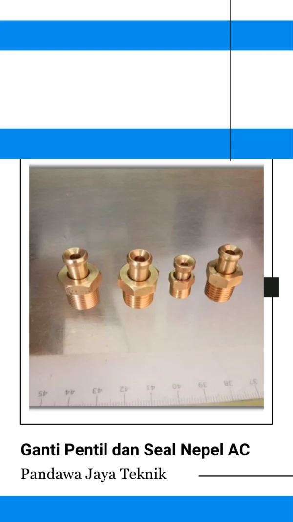 Pentil Seal Nepel AC